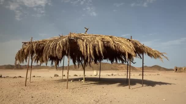Nomadische Bedoeïenen Schuilplaats Woestijn — Stockvideo