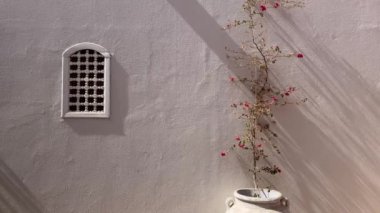 Deniz bileşimi çiçek penceresi egzotik