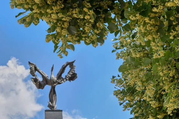 Stara Zagora Phoenix Symbol Sculpture Linden Tree Blooming Flower — Stok Foto