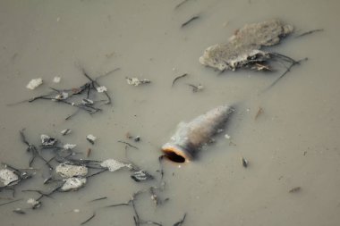 Su, saban sürmekten bulutlandıktan sonra nefes almak için bir balık türü yükseliyor..