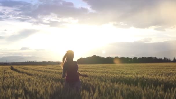 Žena na pšeničném poli — Stock video