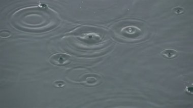 su yüzeyine yağmur damlaları