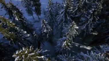 kar halfpipe