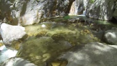 Orman Deresi