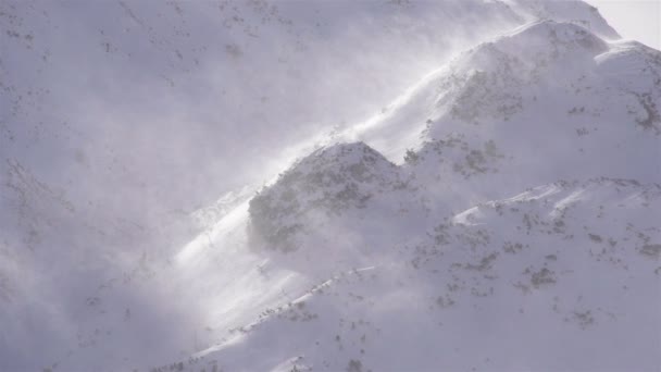 Forte vento soffia i fiocchi di neve — Video Stock