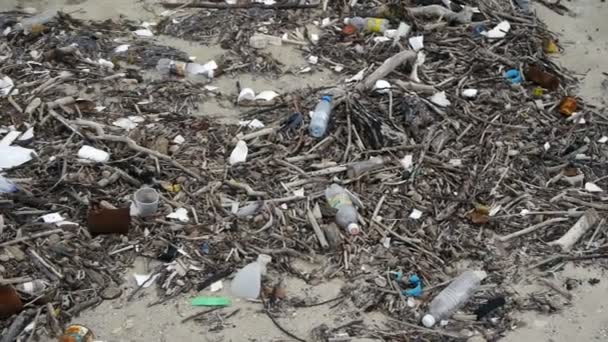 Pollution des plages 