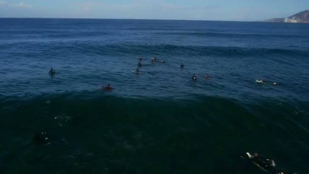 AERIAL: серфингисты садятся на мель и ждут волны — стоковое видео
