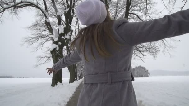 Woman spinning in winter tree avenue — Stock Video