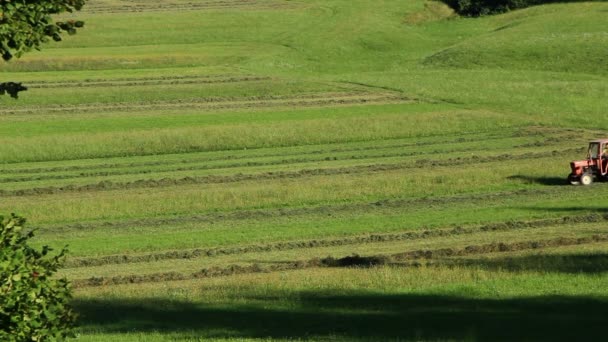 Трактор в поле — стоковое видео