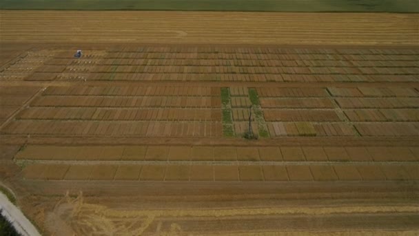 Трактор работает на поле — стоковое видео