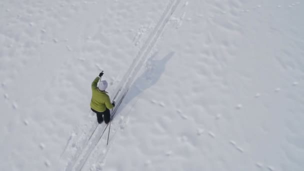 Esqui de fundo — Vídeo de Stock