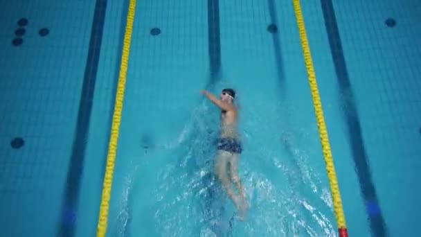 Professional swimmer — Stock Video