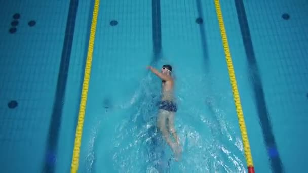 Professional swimmer — Stock Footage Professional swimmer Stock Video