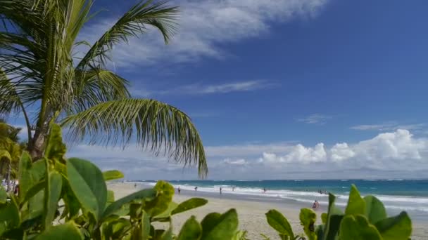 Playa tropical — Vídeos de Stock