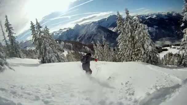 Snowboard på nysnö — Stockvideo