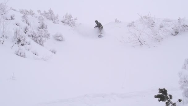 Snowboard i Alperna — Stockvideo