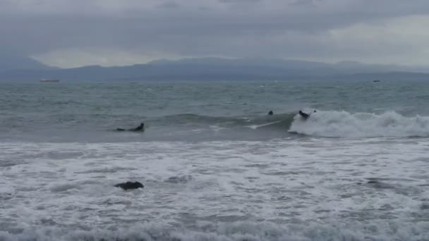 Surfer riding a wave — Stock Video