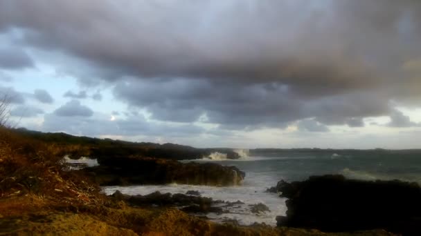 Nubes en la orilla del mar — Vídeo de stock