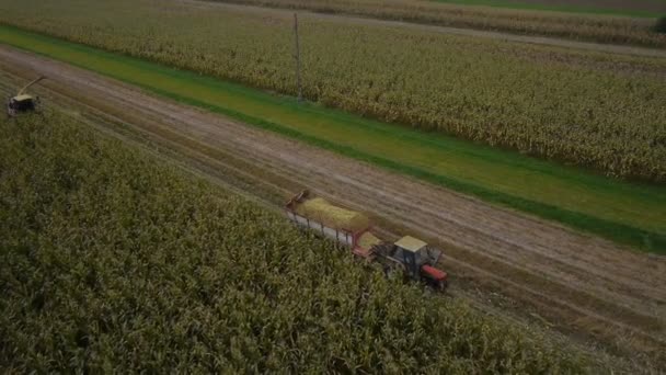 Tractor on a field — Stock Video