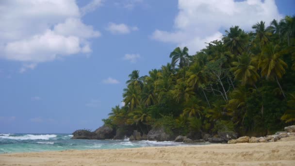 Карибский пляж — стоковое видео