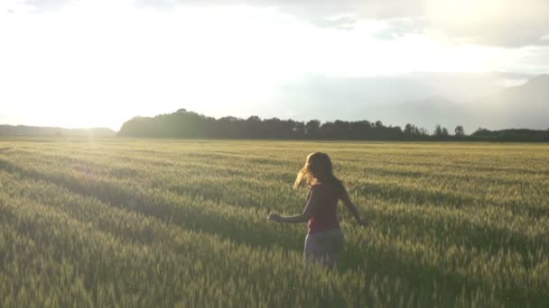 Menina no campo de trigo — Vídeo de Stock