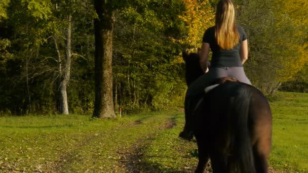 Menina cavalgando na floresta — Vídeo de Stock