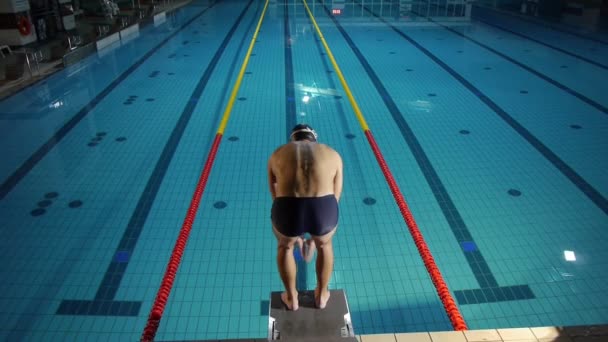 AERIAL: professional swimmer — Stock Video