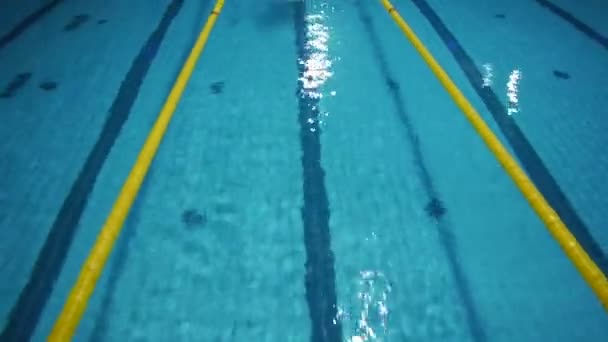 Profesionální plavec — Stock video