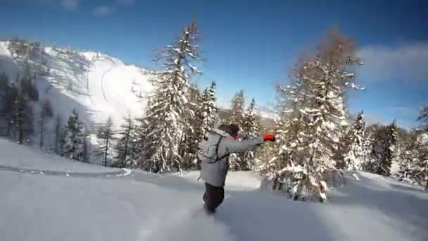 Snowboarder se divertindo em pó — Vídeo de Stock