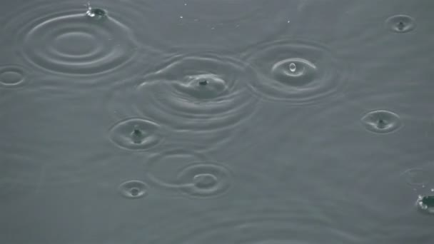 水の表面に雨粒します。 — ストック動画