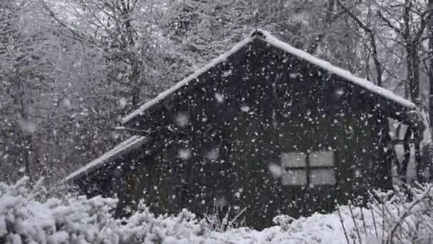 Vinter hus i skogen — Stockvideo