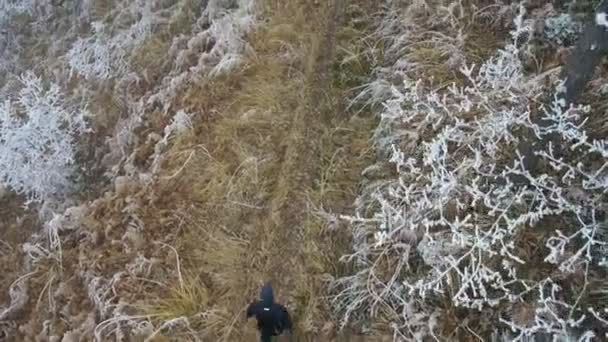 Joven trotando en el bosque de invierno — Vídeo de stock