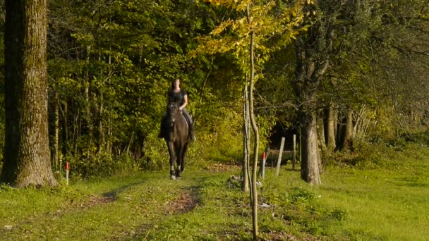 mladá žena jezdecké koně