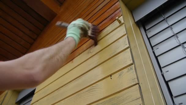 Peinture maison en bois — Video