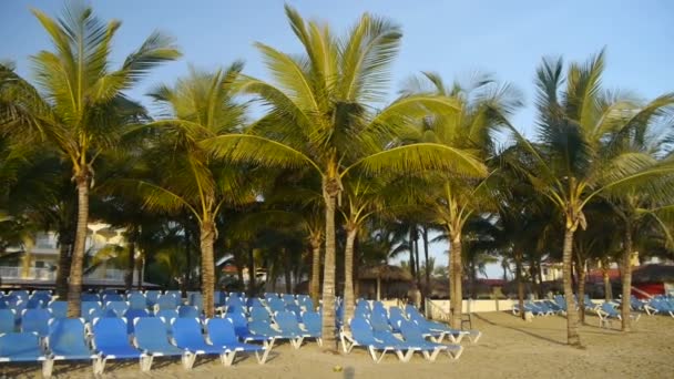 Empty Caribbean resort — Stock Video