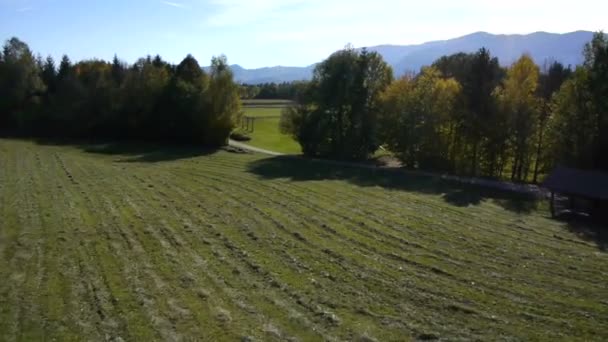 Lage vlucht over velden op zonnige dag — Stockvideo