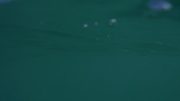Perdu en mer 