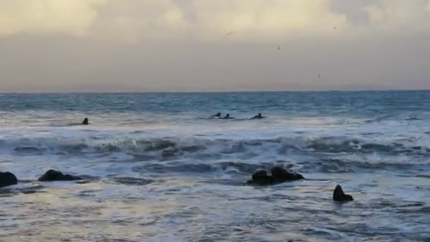 Surfers paddling — Stock Video