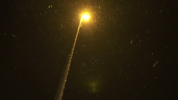 Nieve pesada por la noche — Vídeos de Stock