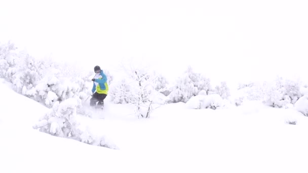 Snowboarder polvo de montar — Vídeo de stock