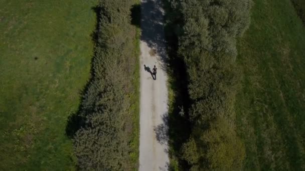 Mädchen läuft in der Natur — Stockvideo