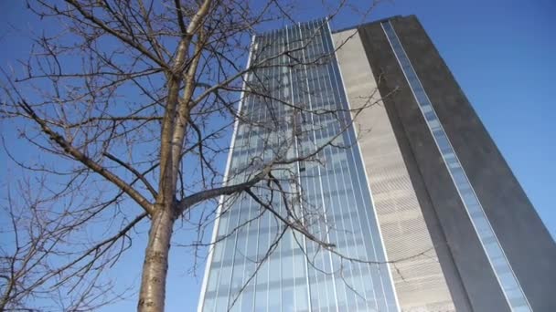 Skyscraper in business district — Stock Video