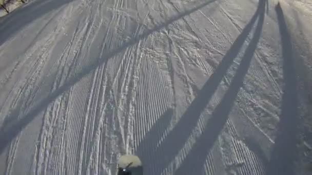 Saut de snowboarder — Video