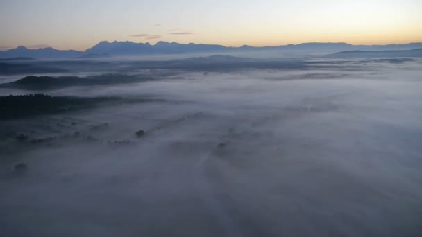 霧の土地 — ストック動画