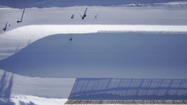 Snowboard in halfpipe — Video Stock