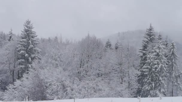 Paysage hivernal