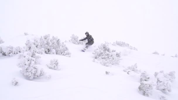 Snowboarder riding powder — Stock Video