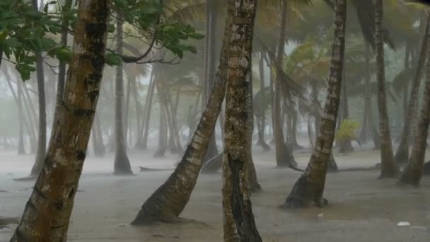 Tropical thunderstorm — Stock Video