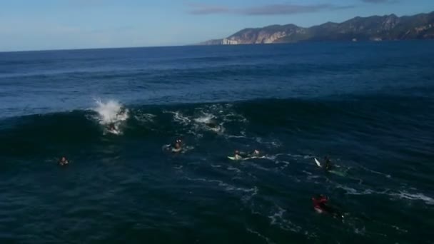 Surfer βόλτες με ένα κύμα και πέφτει — Αρχείο Βίντεο