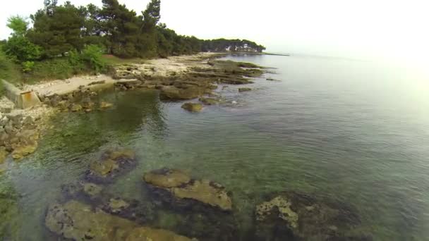 Plage rocheuse — Video